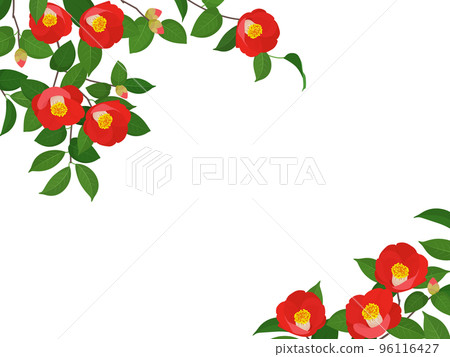 茶花框架 96116427