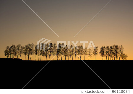 美瑛的晚上風景 96118084