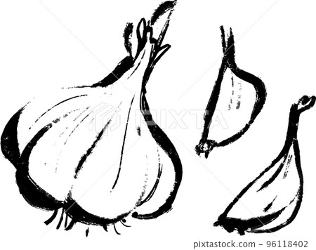 Garlic vector illustration set 96118402