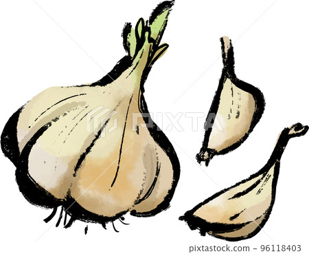 Garlic vector illustration set color Garlic vector illustration set color 96118403