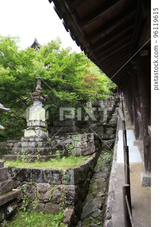 奈良縣長谷寺 96119615