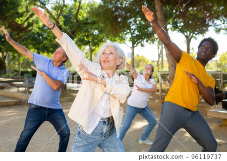 Carefree diverse people dancing rhythmic dance aerobic workout in park during spring day 96119737