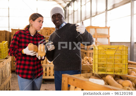Man and young woman workers talking in pumkin storehouse 96120198