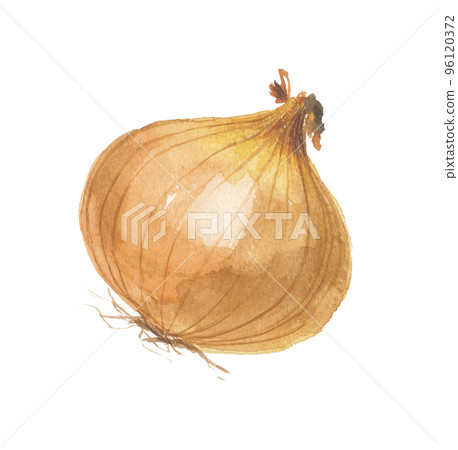 洋蔥洋蔥 96120372
