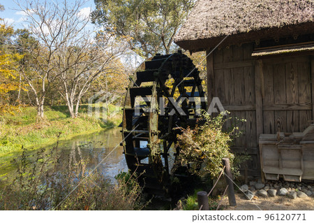 Daio Wasabi Farm in Autumn Tategawa River and Water Mill Daio Wasabi Farm in Autumn Tategawa River and Water Mill 96120771