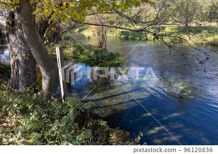 立川與萬水匯合處的大王芥末農場 96120836