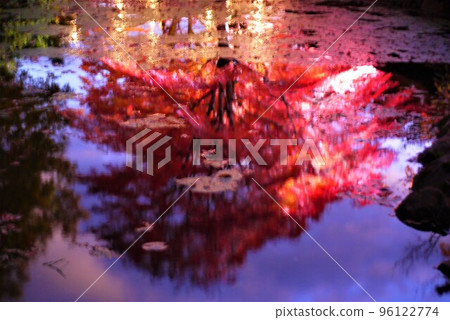 福島縣圓日寺的紅葉美不勝收。 福島縣圓日寺的紅葉美不勝收。 96122774
