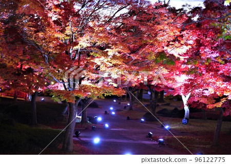 福島縣圓日寺的紅葉美不勝收。 福島縣圓日寺的紅葉美不勝收。 96122775