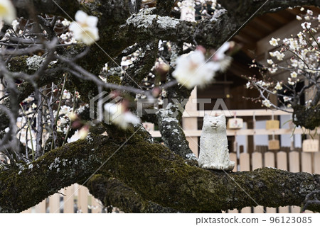 將軍院門關白梅 將軍院門關白梅 96123085