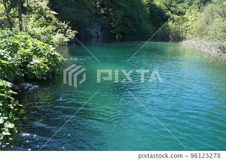 清楚的小河在普利特維採湖群國家公園,克羅地亞 清楚的小河在普利特維採湖群國家公園,克羅地亞 96123278