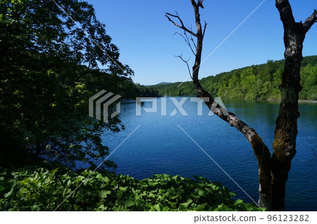 湖在普利特維採湖群國家公園,克羅地亞 湖在普利特維採湖群國家公園,克羅地亞 96123282