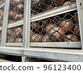 storage of onions 96123400