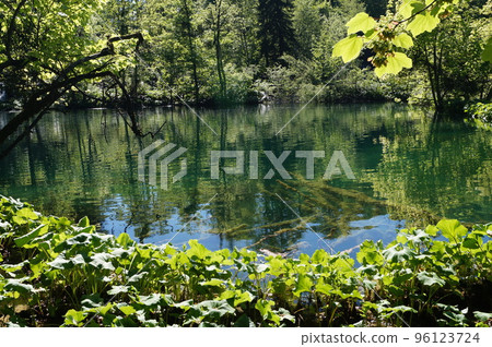 湖在普利特維採湖群國家公園,克羅地亞 湖在普利特維採湖群國家公園,克羅地亞 96123724