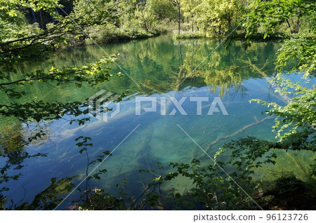 湖在普利特維採湖群國家公園,克羅地亞 湖在普利特維採湖群國家公園,克羅地亞 96123726