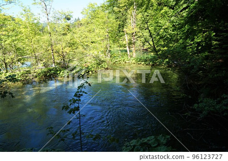 克羅地亞十六湖國家公園的湖泊和森林 96123727