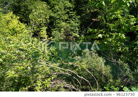 克羅地亞十六湖國家公園的湖泊和森林 96123730