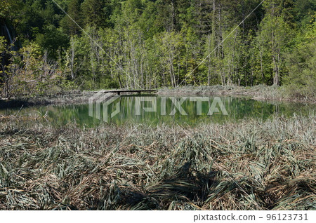 克羅地亞十六湖國家公園景觀 克羅地亞十六湖國家公園景觀 96123731