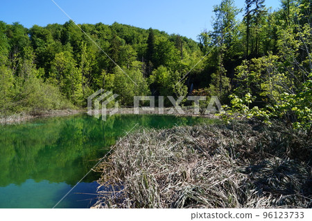 Lakes and forests of Plitvice Lakes National Park, Croatia 96123733