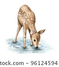 Watercolor woodland animal, cute baby deer. Painted isolated hand drawn illustration.  Scandinavian forest nursery design, poster, postcard 96124594