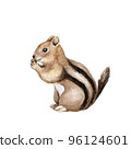 Funny chipmunk eating a nut. Cute kids illustration. Realistic watercolor sketch. Hand painted art isolated on white background. Woodland wild animal. Element for decorative forest design 96124601