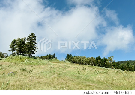 A refreshing early autumn sky looking up from the ski slopes A refreshing early autumn sky looking up from the ski slopes 96124636