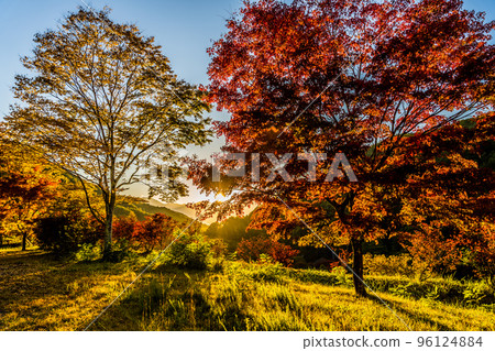 在紅葉湖(箕輪水壩)拍攝的紅葉風景 在紅葉湖(箕輪水壩)拍攝的紅葉風景 96124884