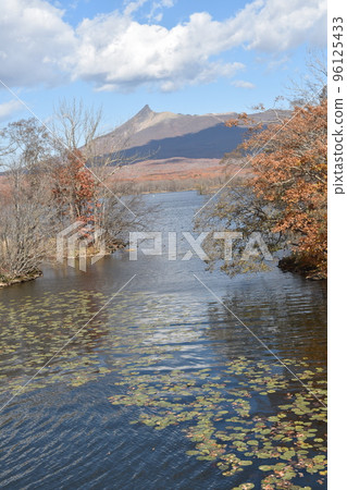 北海道大沼公園 96125433