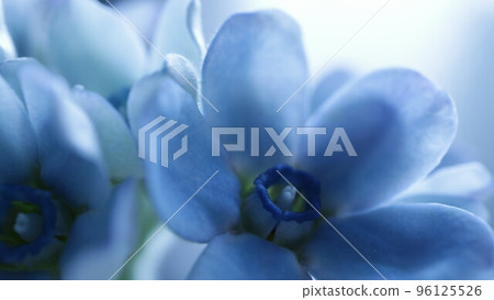 blue star up dim 96125526