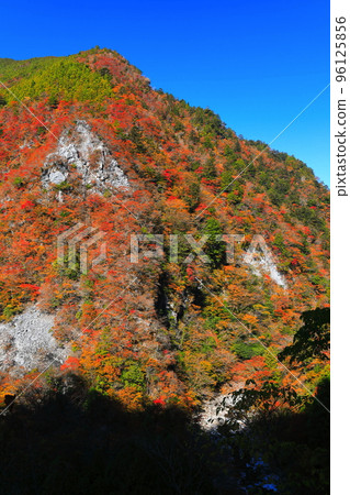 [德島縣]高之瀨峽谷的紅葉高峰 96125856