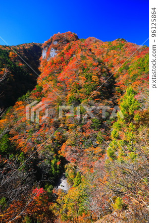[Tokushima Prefecture] Autumn leaves of Takanose Gorge at its peak 96125864