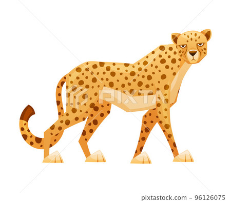 Standing Cheetah as African Large Cat with Long Tail and Black Spots on Coat Vector Illustration 96126075