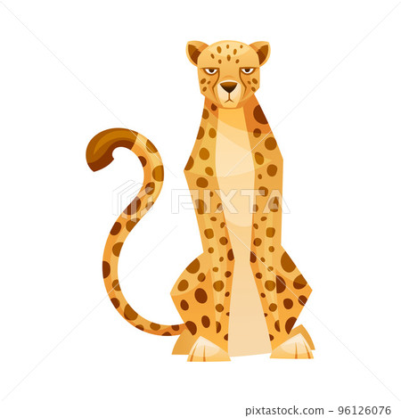 Sitting Cheetah as African Large Cat with Long Tail and Black Spots on Coat Vector Illustration 96126076