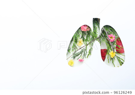 Lung health, concept of allergy on white background Lung health, concept of allergy on white background 96126249