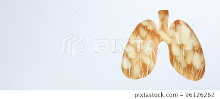 World lung day or lung healthy concept on white background World lung day or lung healthy concept on white background 96126262