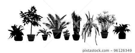 Organic flat houseplant collection. Set of house plants in pots. Vector illustration. 96126349