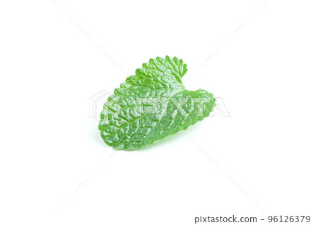 Concept of aromatherapy, mint isolated on white background 96126379