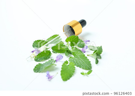 Concept of aromatherapy with mint, close up Concept of aromatherapy with mint, close up 96126403