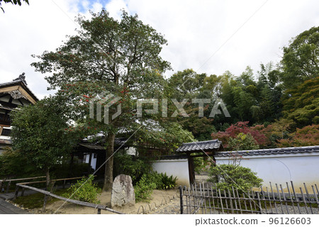 Tsukishoin (Mooninchoin) Tsukishoin (Mooninchoin) 96126603