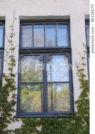 Window of old house with plants outdoor 96126678