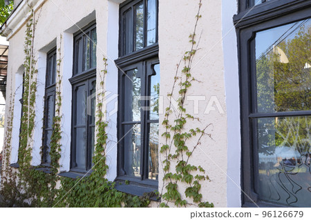 Windows of old house with plants outdoor 96126679
