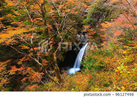 [德島縣]大釜瀑布黃金時代的紅葉 96127498