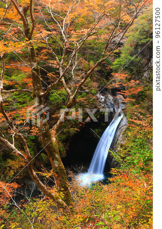 [德島縣]大釜瀑布黃金時代的紅葉 96127500