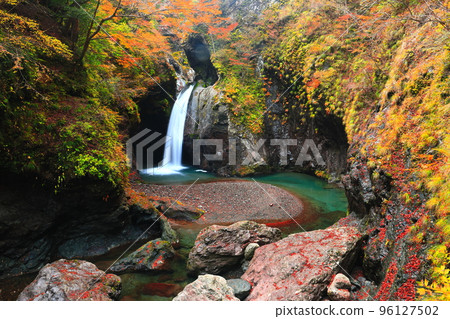 [Tokushima [Tokushima Prefecture] Autumn leaves prefecture of Ogama-no-taki at its peak] Autumn leaves at Ogama-no-taki at its peak 96127502