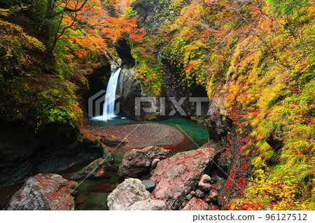 [Tokushima Prefecture] Fall foliage at the golden age of Ogama Falls 96127512