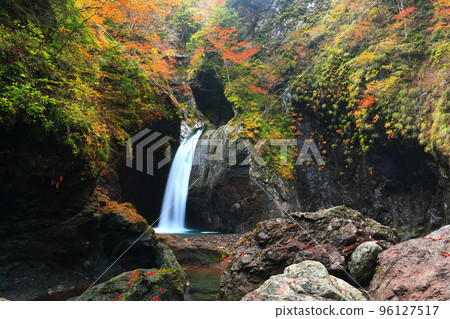 [Tokushima Prefecture] Fall foliage at the golden age of Ogama Falls 96127517