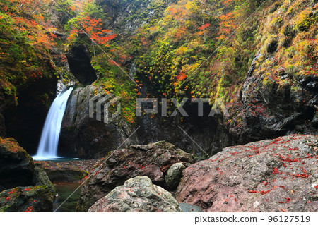 [Tokushima Prefecture] Fall foliage at the golden age of Ogama Falls 96127519