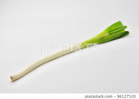 Japanese leek  96127520