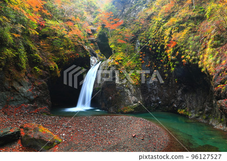 [Tokushima Prefecture] Fall foliage at the golden age of Ogama Falls 96127527