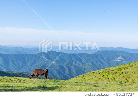 Ehime Prefecture: Sunny Shikoku Karst and pastured cows Ehime Prefecture: Sunny Shikoku Karst and pastured cows 96127724