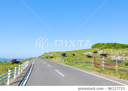 Ehime Prefecture, Shikoku Karst with beautiful fresh greenery and a road crossing the ridge (photographed in 2022) Ehime Prefecture, Shikoku Karst with beautiful fresh greenery and a road crossing the ridge (photographed in 2022) 96127725